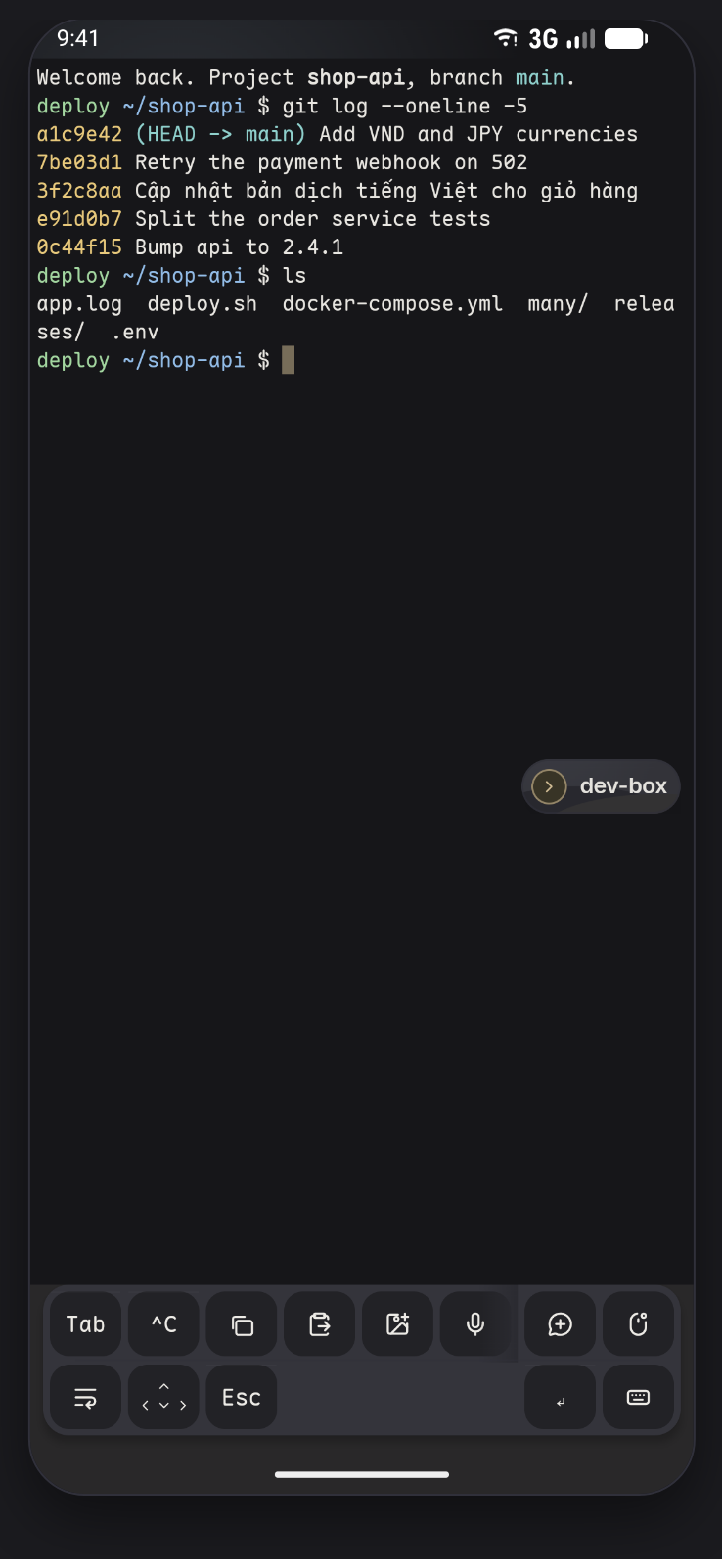A terminal showing git log output and a Vietnamese commit message rendered at the correct column width.