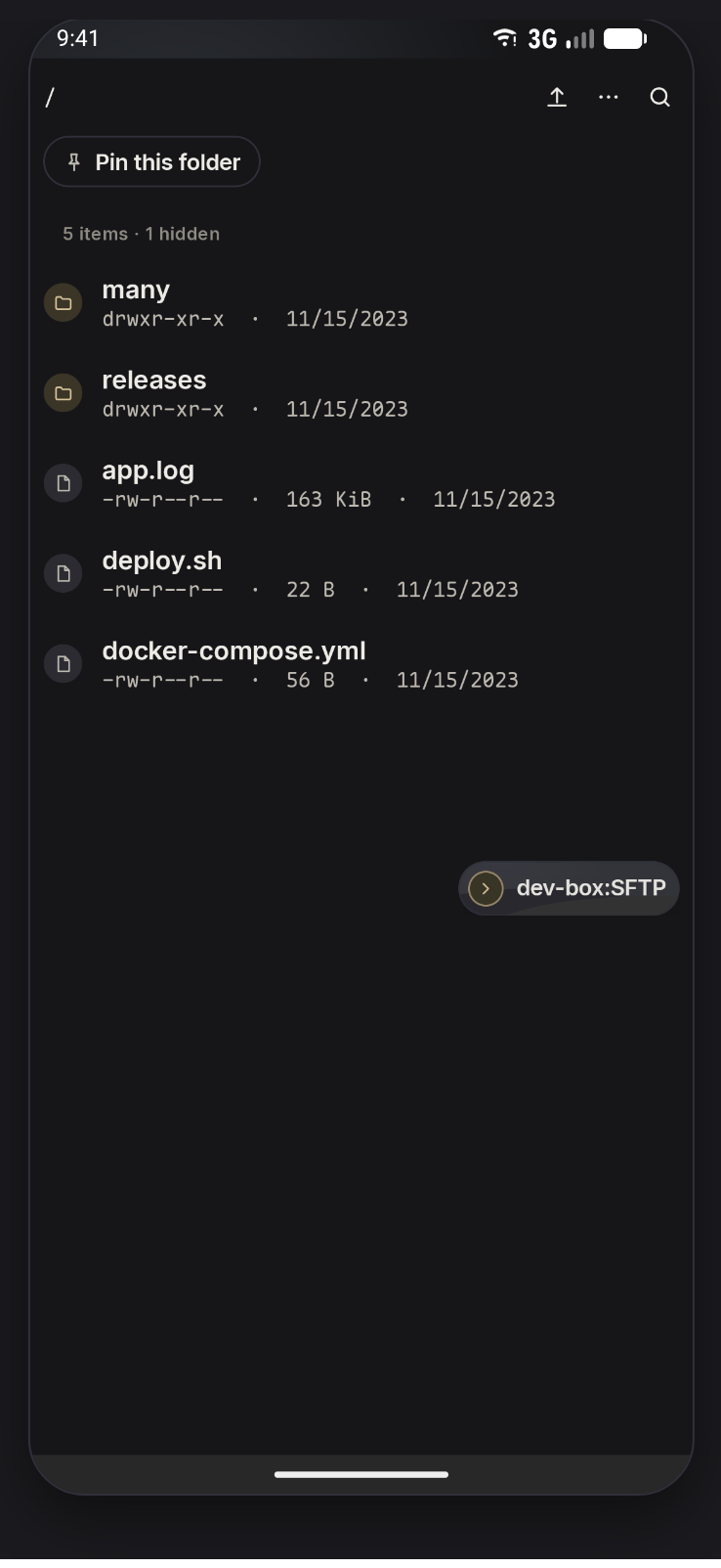 An SFTP file browser showing the files on the connected host.